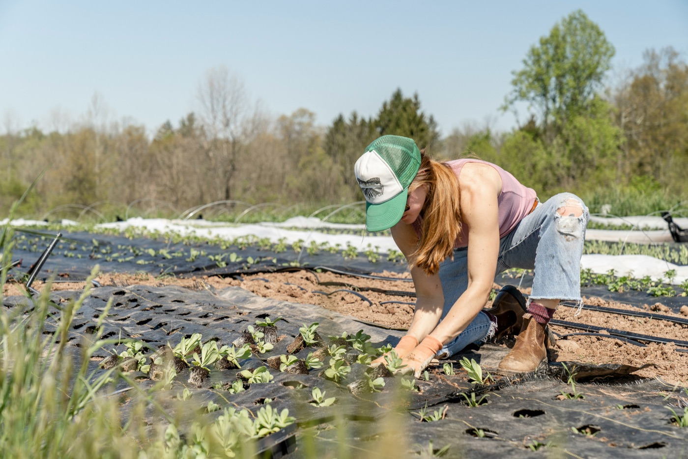 A grower planting seedlings in a field on a sunny day — the kind of supplier work that sits behind our ESG promise.